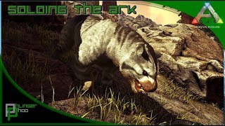 Soloing the Ark S4E60  THYLACOLEO TAMING AND BREEDING  CAVE PREP [upl. by Jaime]