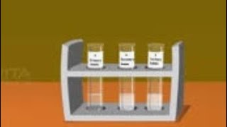 Cation and anion test [upl. by Scevo]