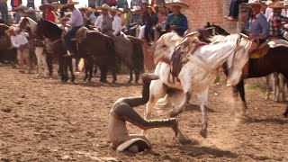 56  Lo Mejor de los Coleaderos  Santa Maria de los Angeles Jalisco [upl. by Tommy]