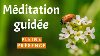 Méditation Guidée  Un retour à la Pleine Présence Inspiré par dialoguesfm [upl. by Elleira]