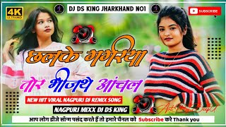 CHHALKEGAGRIYATORBHINJTHEANCHAL NETHETHNAGPURDJREMIXSONG2024 DJDSKINGJHARKHAND [upl. by Sammons729]