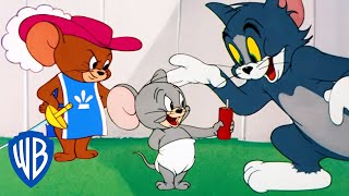 Tom y Jerry en Latino  Nibbles el más adorable  WB Kids [upl. by Elamef142]