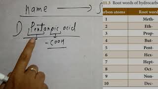 pentanoic acid class 10 [upl. by Enidlareg739]