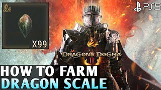 Dragons Dogma Gameplay  How to change vocation Classes [upl. by Cirad]