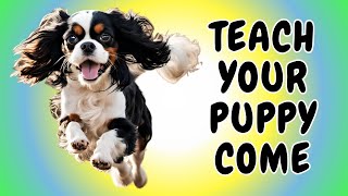 Teach Your Cavalier King Charles Spaniel to Come When Called Lesson 1  Indoors 🐶🏠 [upl. by Strohl]