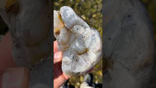 🔥INCREDIBLE MOSS AGATE FIND 🔥 gemstones [upl. by Rodrigo241]