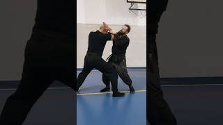 Doko no kamae application ninjutsu shadowwarrior bujinkan martialarts budotaijutsu ninja [upl. by Norvin]