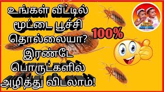 மூட்டை பூச்சியை முற்றிலும் அழிப்பது எப்படி How to kill bedbugsTamil Twins Sathu Vithu [upl. by Cord]