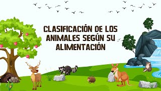 Clasificación de los animales según su alimentación [upl. by Dianemarie]