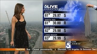 Why This Meteorologist Was Asked To CoverUp with Sweater on Live TV [upl. by Amahcen]