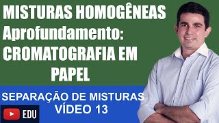 Separação de Misturas 13 Aprofundamento Cromatografia em Papel [upl. by Georgiana52]