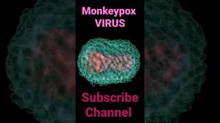 Monkey pox virus shorts youtubeshorts shortsvideo short shortvideo youtube youtuber [upl. by Estevan]