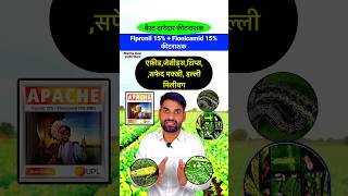 सभी चूसक किट की बेस्ट दवा 👌 Upl Apache  Fipronil  Flonicamid bhartiyakisanभारतीयकिसान shorts [upl. by Raddatz924]