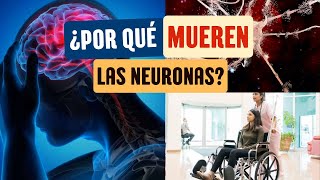 ¿Por qué mueren las neuronas [upl. by Inaflahk]