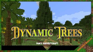 Dynamic Trees Pams Harvestcraft Mod 1122  Minecraft Mods for PC [upl. by Enra]