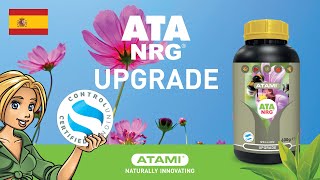 ATA NRG Upgrade  ES [upl. by Ecirtap]