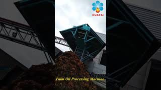 🌴🏭Palm Oil Processing MachineHow Palm Oil Is Made In Factory🌴🏭 [upl. by Youngran]