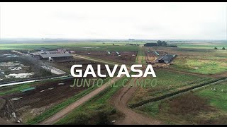 VIDEO GALVASA JUNTO AL CAMPO 31 10 2023 [upl. by Chaudoin]