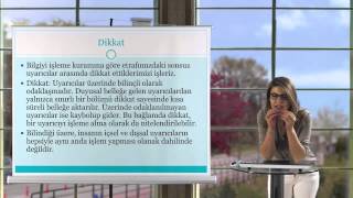 EĞİTİM PSİKOLOJİSİ 14 HAFTA VİDEO 2 BÖLÜM [upl. by Ennaylloh]