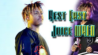 Juice WRLD  Live  SummerSmash 2019 Tribute RIP READ DESCRIPTION [upl. by Anivahs]