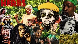 Ganja 🌿 Herbs  Cannabis 🌿 Marijuana  Weed  Reggae Ganja Songs 🌿 Justice Sound [upl. by Pinsky853]