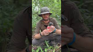 FLEXTAIL TINY REPEL 3 in 1 mosquito repellent in BORNEO JUNGLE [upl. by Aslam384]