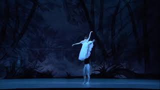 Giselle  Bolshoi Ballet in Cinema Official trailer [upl. by Aunson269]