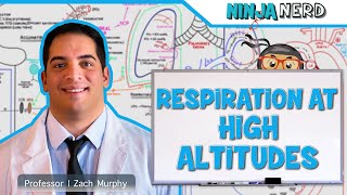 Respiratory  Respiration at High Altitudes [upl. by Barton]