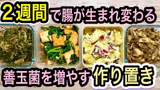 【2週間で激変】善玉菌が増える簡単作り置きレシピ4品！腸が元気になると嬉しい効果5つ [upl. by Tannenwald]