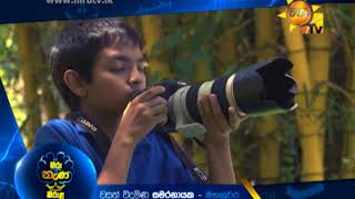 Hiru TV Nena Kirula  Wasath Widumina Samaranayake  Mahanuwara [upl. by Tuchman]