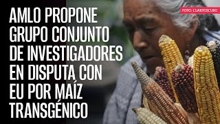 AMLO propone grupo conjunto de investigadores en disputa con EU por maíz transgénico [upl. by Coltson138]