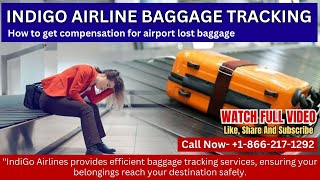 Indigo Airline Baggage Tracking  How to get compensation for airport lost baggage [upl. by Nnasor]