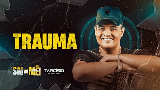 TRAUMA  Tarcísio do Acordeon CD Sai do Mêi [upl. by Areval]