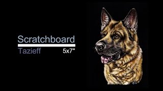 Scratchboard demo How to draw a German Shepherd with a knife [upl. by Massey]