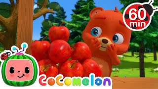 Peekaboo  CoComelon Animal Time  Animal Nursery Rhymes [upl. by Iong]