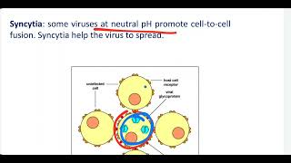 Medical Microbiology follow introduction of Virology [upl. by Derfla]