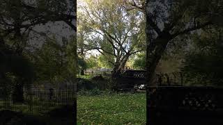 Clissold Bridge Beauty [upl. by Wake]