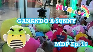 Ganando a Sunny la Squishmallow MDP EP 16 [upl. by Eiddet552]