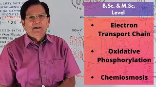 Electron Transport Chain Oxidative Phosphorylation amp Chemiosmosis  BSc amp MSc Level [upl. by Roice]