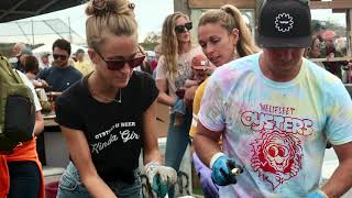 Wellfleet Oysterfest 2022 Music By The Value Leaders [upl. by Rosabel]