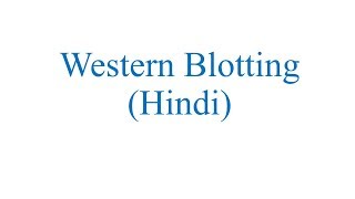 Western Blotting Hindi [upl. by Nayllij]