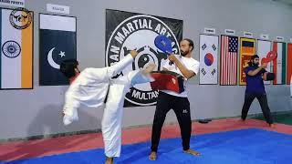 Taekwondo Kicks Advanced Practice  Taekwondo Training 2024 [upl. by Jandy255]