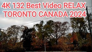 132 Best Video Official Video 4K Video ULTRA HD PetroToronto thebestvideo bestvideo [upl. by Kosak]