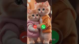 Mi telephone ringtone calling calls ringtone cats💋💓💘 [upl. by Ilwain]