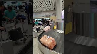 How to find your baggage claim In Airport [upl. by Armbrecht]