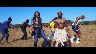 The Evolution of Music amp Dance in Zambia Dvine Slydaz Dance Video [upl. by Anidem]