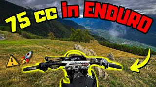 TEST FANTIC TOP 2PLUS 75cc in ENDURO🚀 [upl. by Bible]