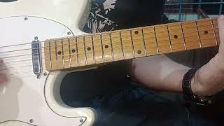 Guitarra Tagima Woodstock TW55 Telecaster [upl. by Liek56]