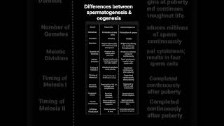 Differences between Spermatogenesis and oogenesis biology [upl. by Merle605]