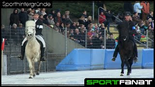 Islandpferde auf dem Eis  IceHorse 2015 [upl. by Cathlene]